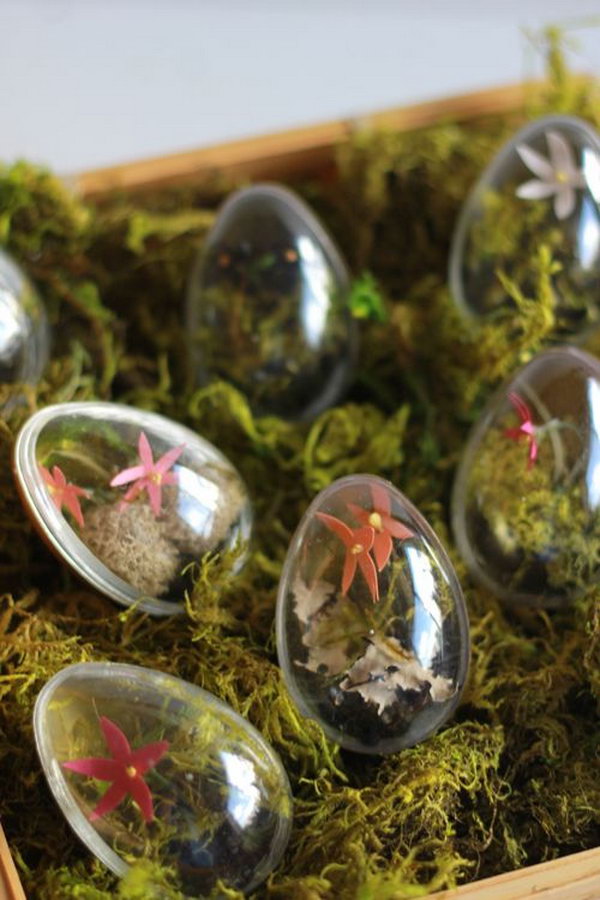 DIY Easter Egg Terrariums. This Easter egg terrarium would be another cool artwork full of creation sparks for your Easter party. 