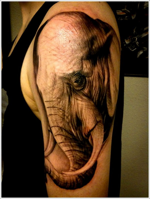 Striking Elephant Tattoo on Arm. 