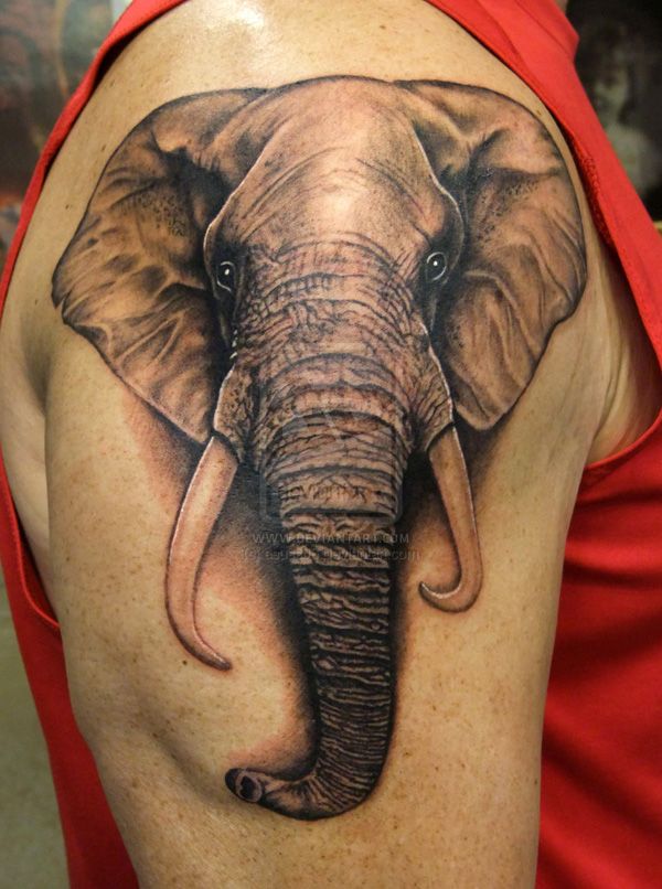 3d Lifelike Realistic Elephant Tattoo. 