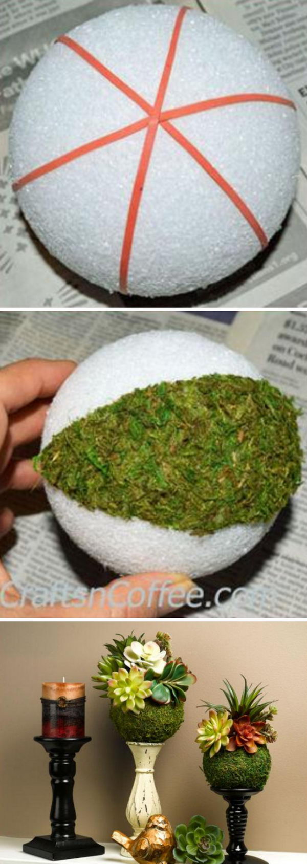 DIY Succulent Moss Ball. 